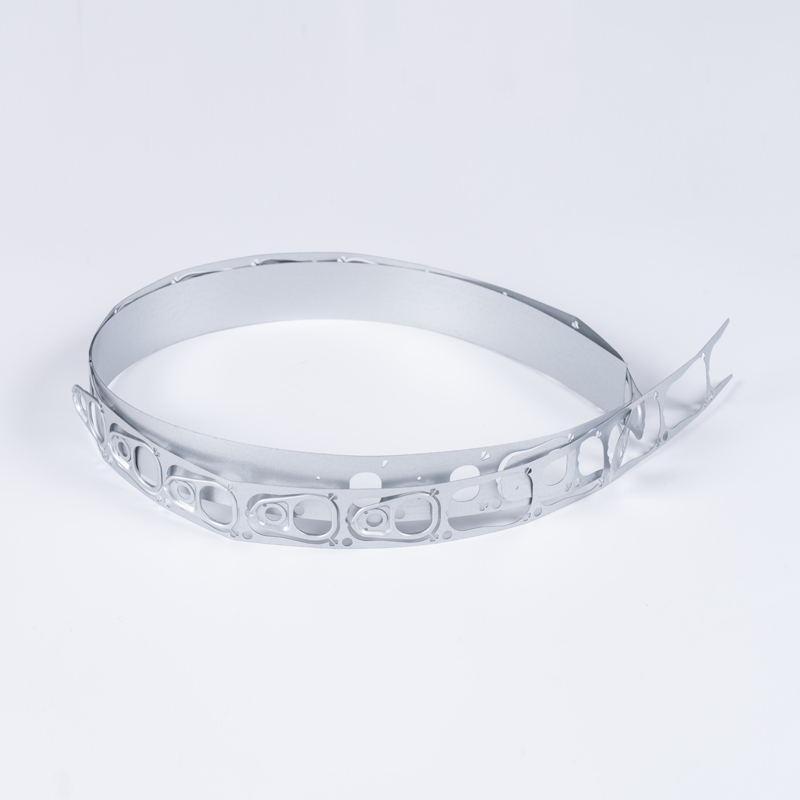 Galvanized Ring Tab Prosapia duplex latus argenteum
